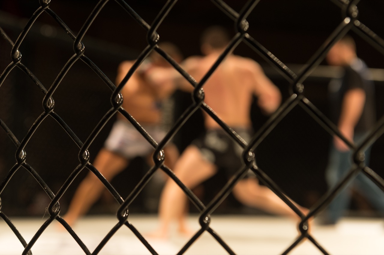 Step Into The Ring For This Mixed Martial Arts Quiz