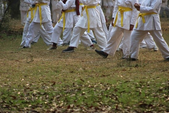 The Ultimate Fujian White Crane Quiz: Test Your Knowledge