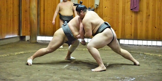 The Ultimate Sumo Challenge: Test Your Knowledge!