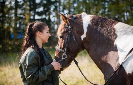 Horse Whispering: A Quiz on Equine Behavior and Communication