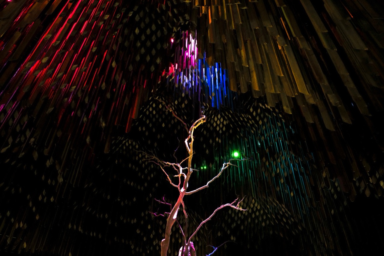 Brainwave Bonanza: Put Your Curiosity to the Ultimate Test