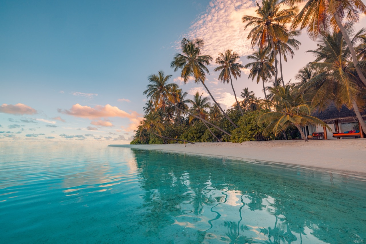Coastline Smarts: Understanding Beach Types Before You Set Foot on the Sand