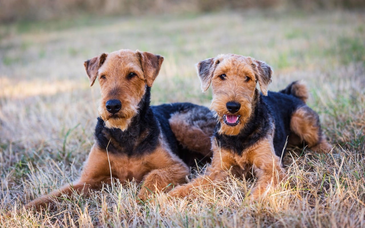 Question 5
