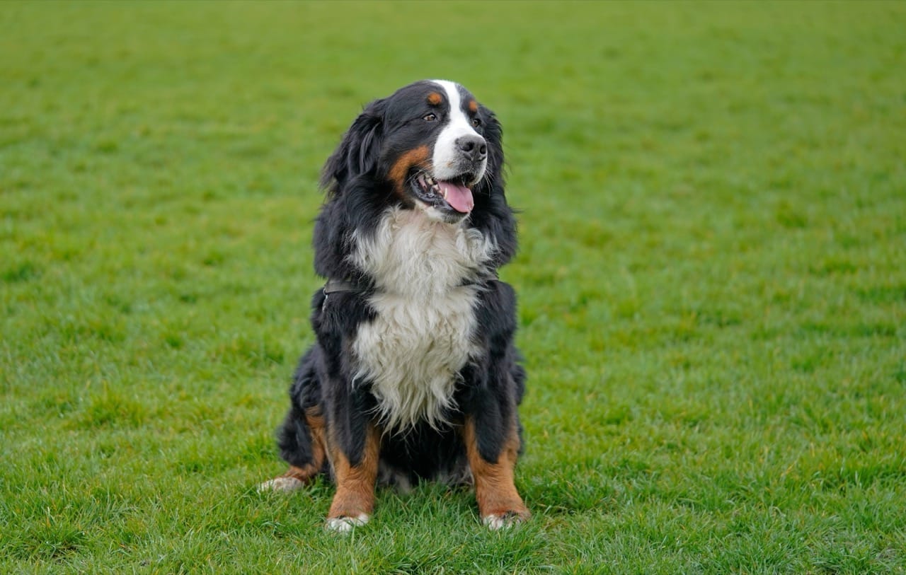 Question 5