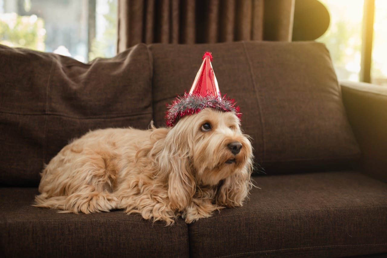 Question 9